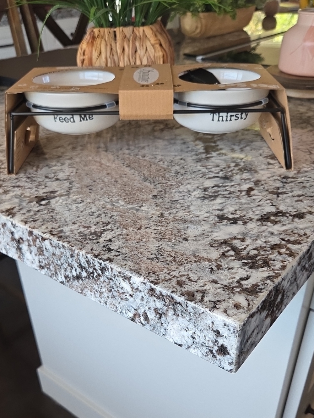 Signature Housewares Ceramic Pet Bowls Set